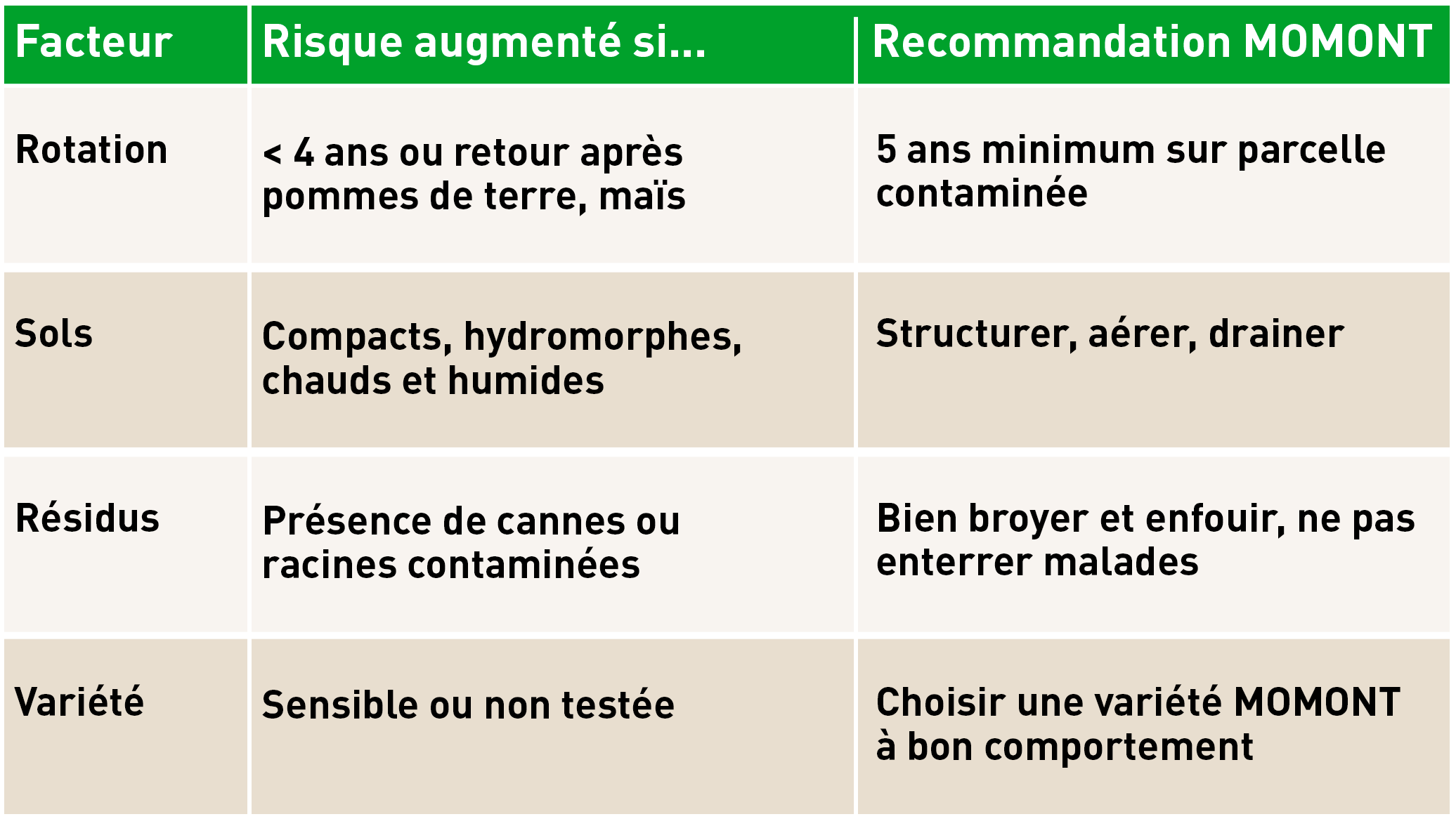 tableau_resume_bf_rhizo