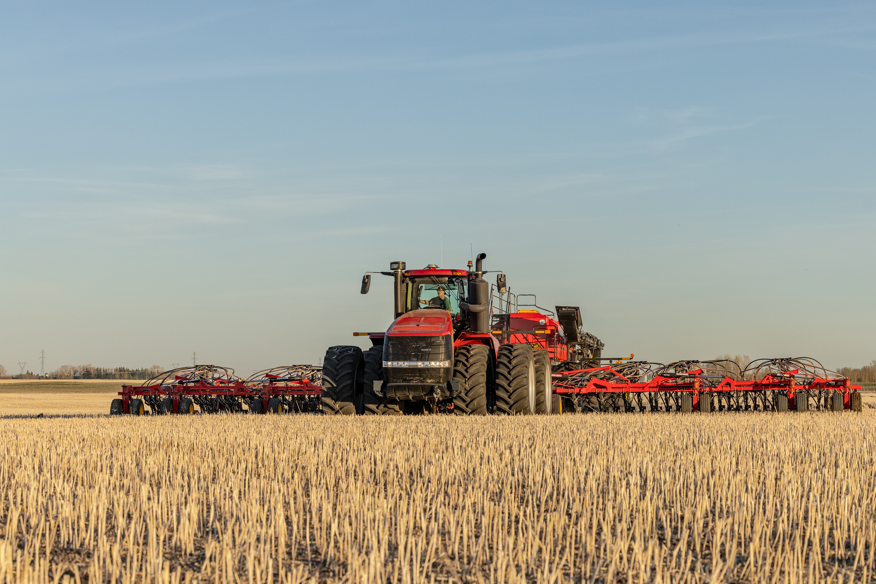 Semences de colza agriculteur