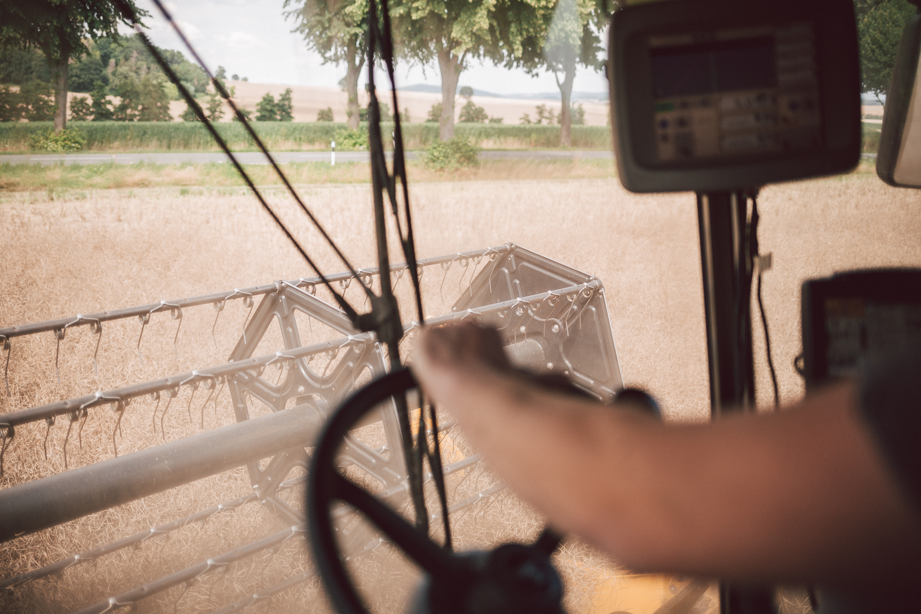Récolte du Colza MOMONT