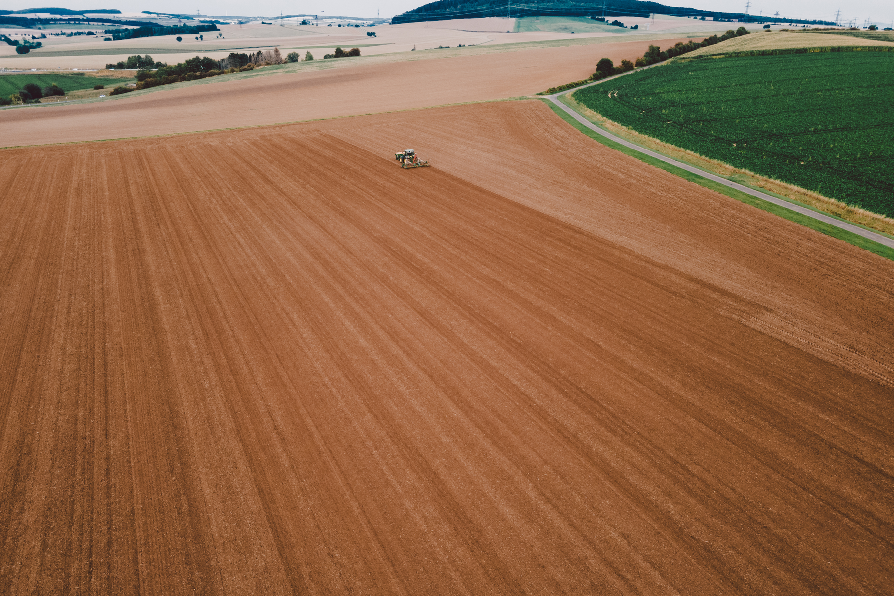 Implantation colza saison 2024-2025