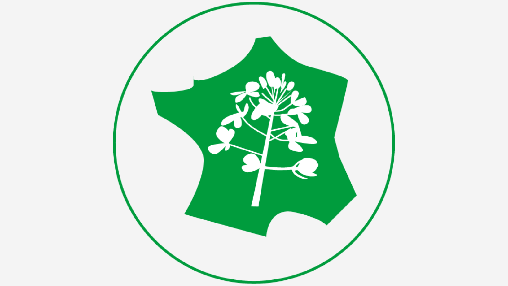 Protection contre l'érosion