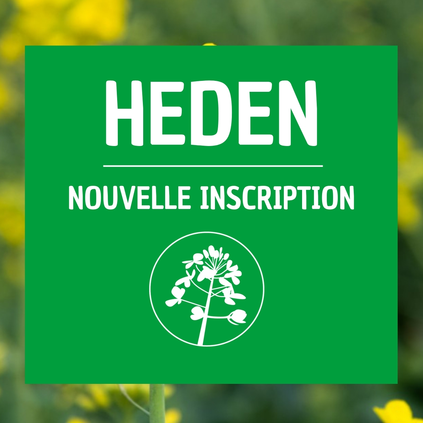 HEDEN colza résistant phoma