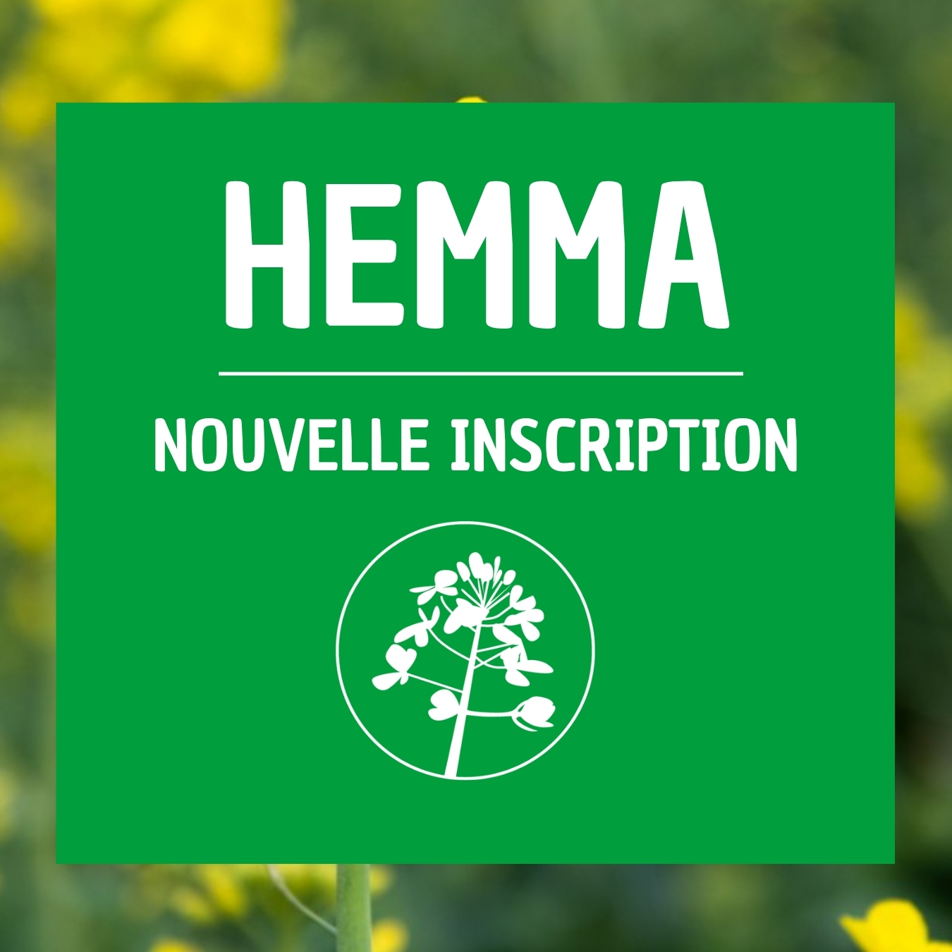 HEMMA colza résistant maladies