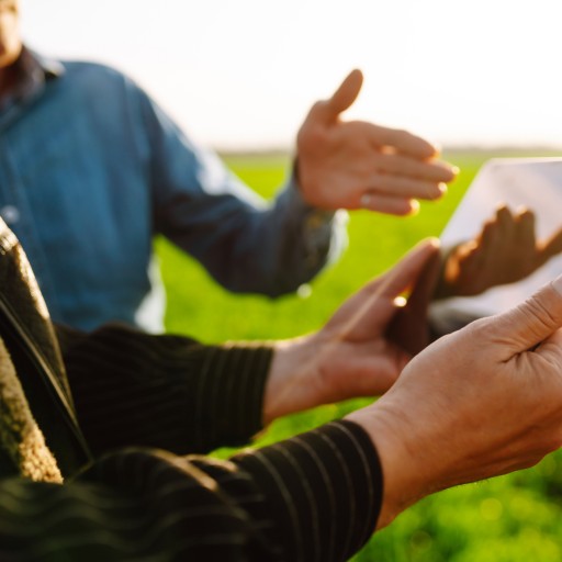 expertise champ avec agriculteur
