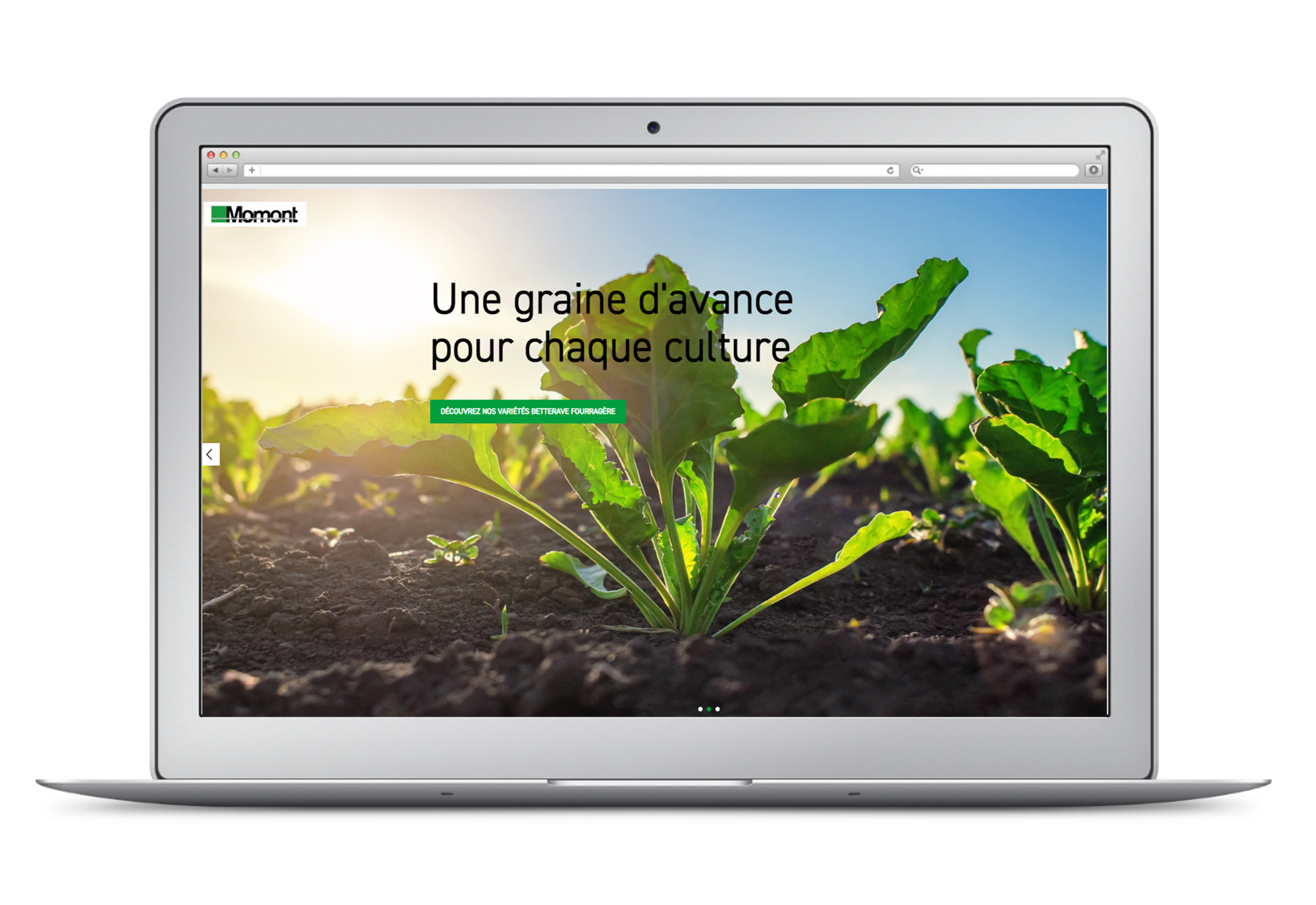 visuel_lancement_site