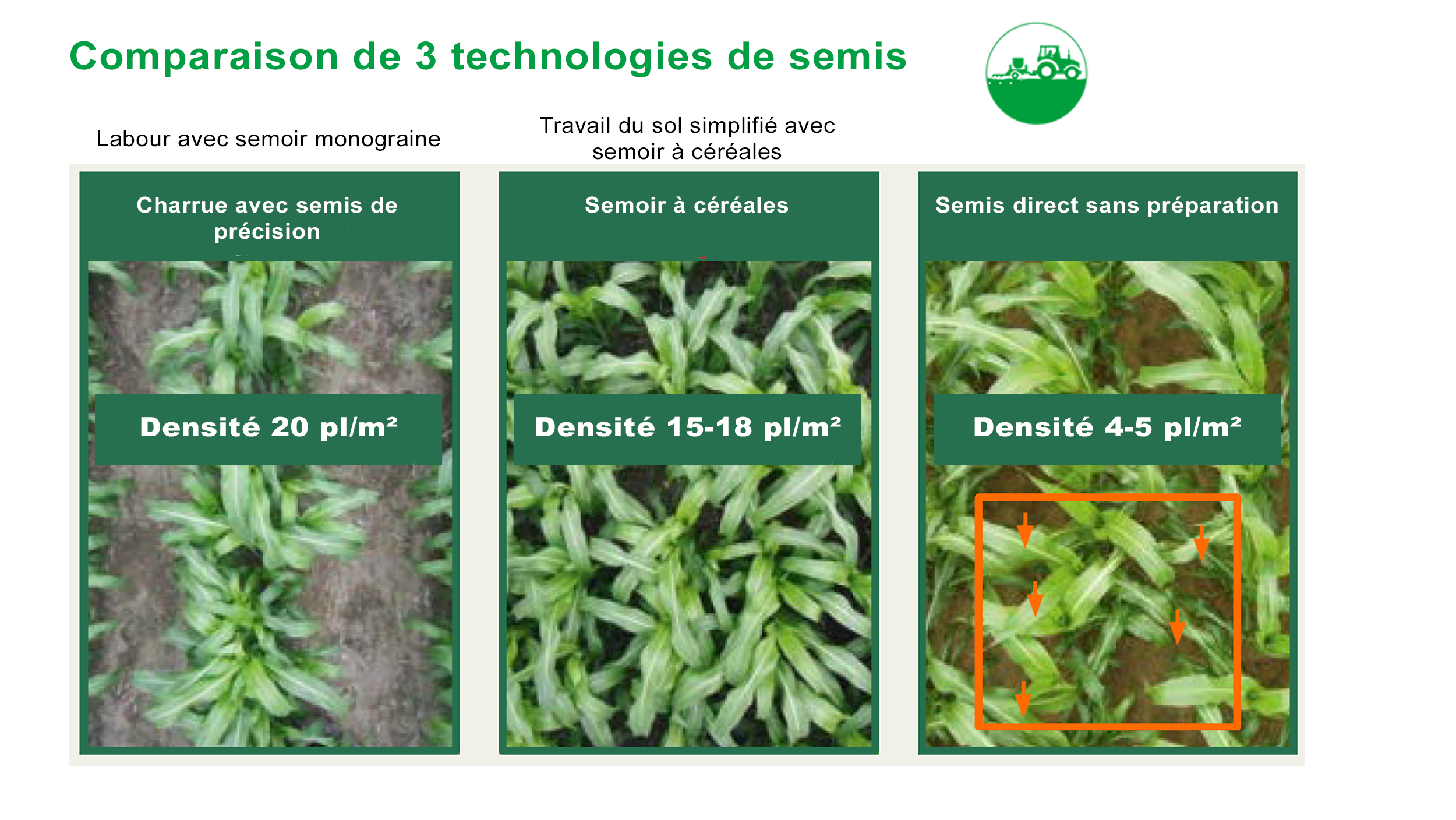 Comparaison de 3 technologies de semis en sorgho fourrage