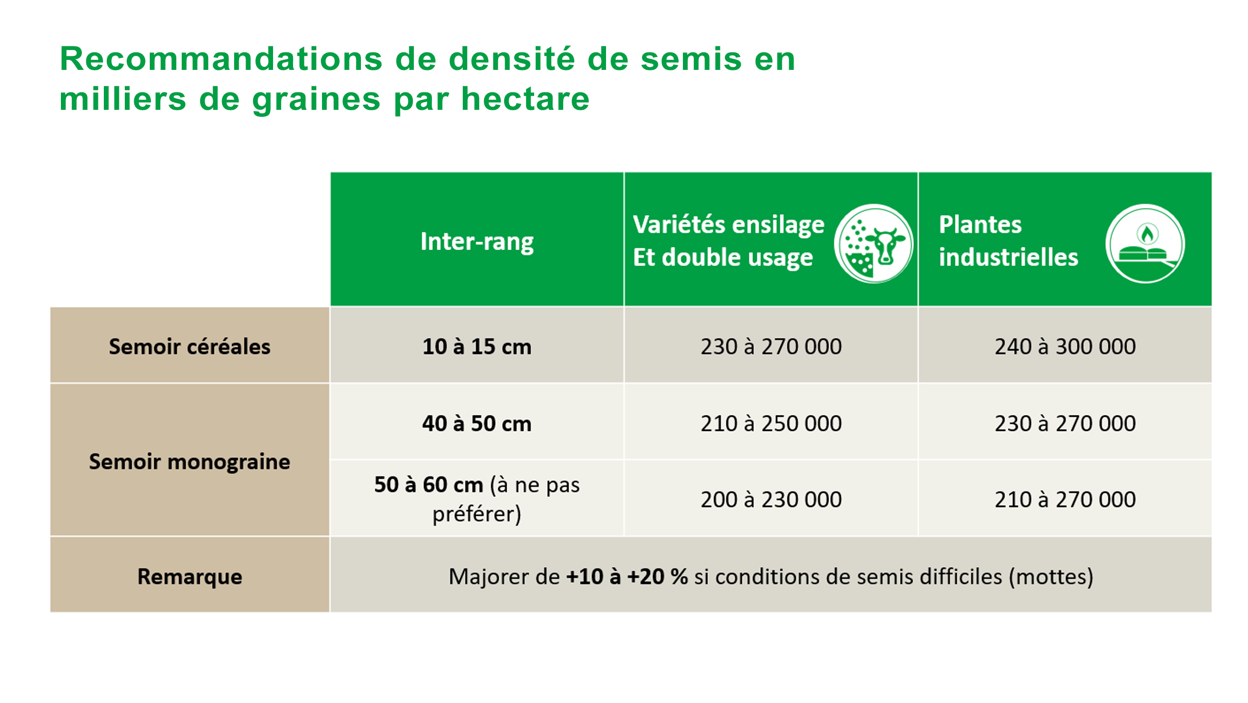 Semis - Densite en sorgho fourrage